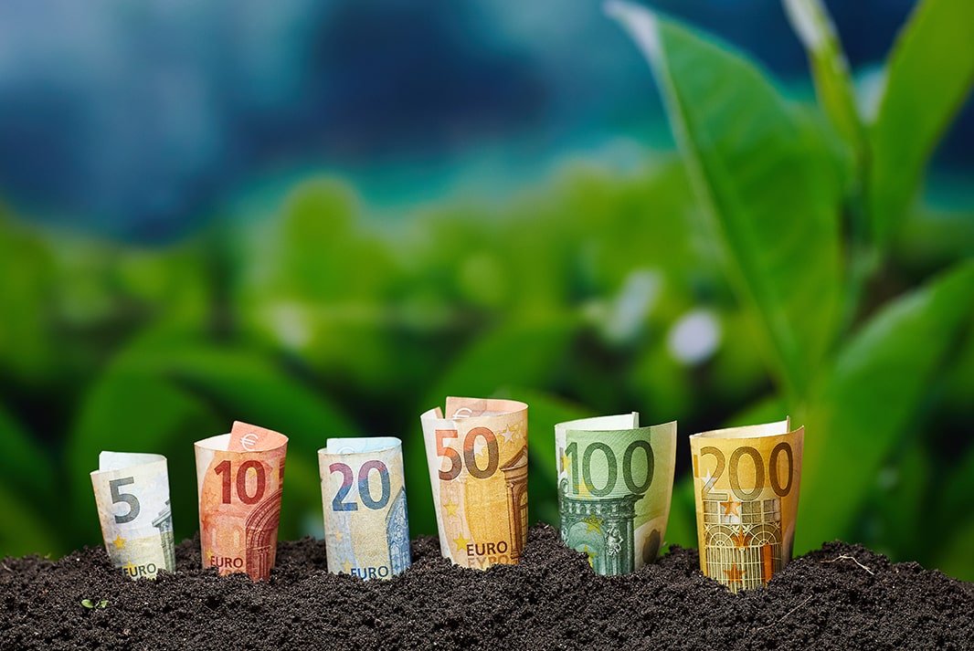 la tua terra valutazione